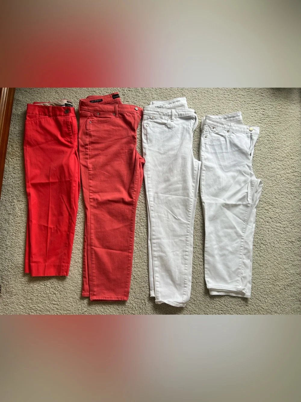 HUGE Lot of Talbot Crops and Pants all size 12P
